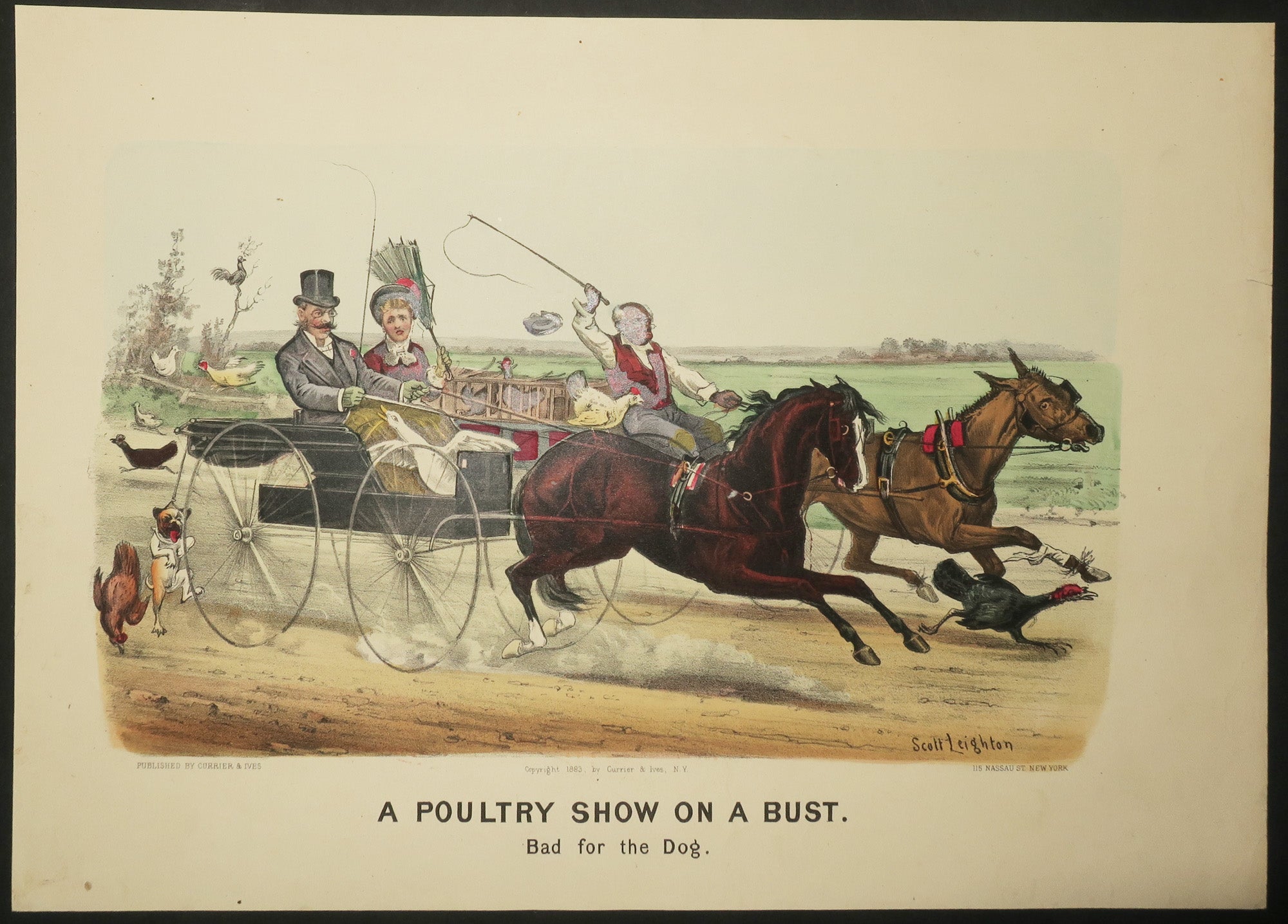 A poultry show on a bust. Bad for the dog.