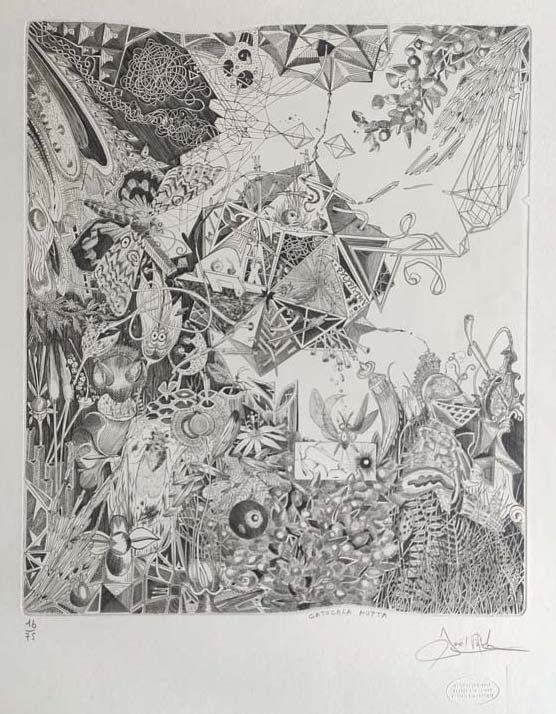 Catocala Nupta. 2002