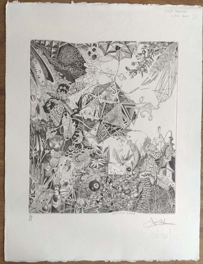 Catocala Nupta. 2002