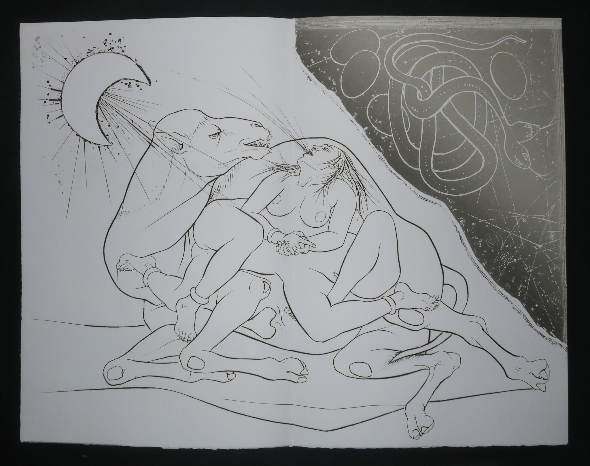 Griffures et morsures.
