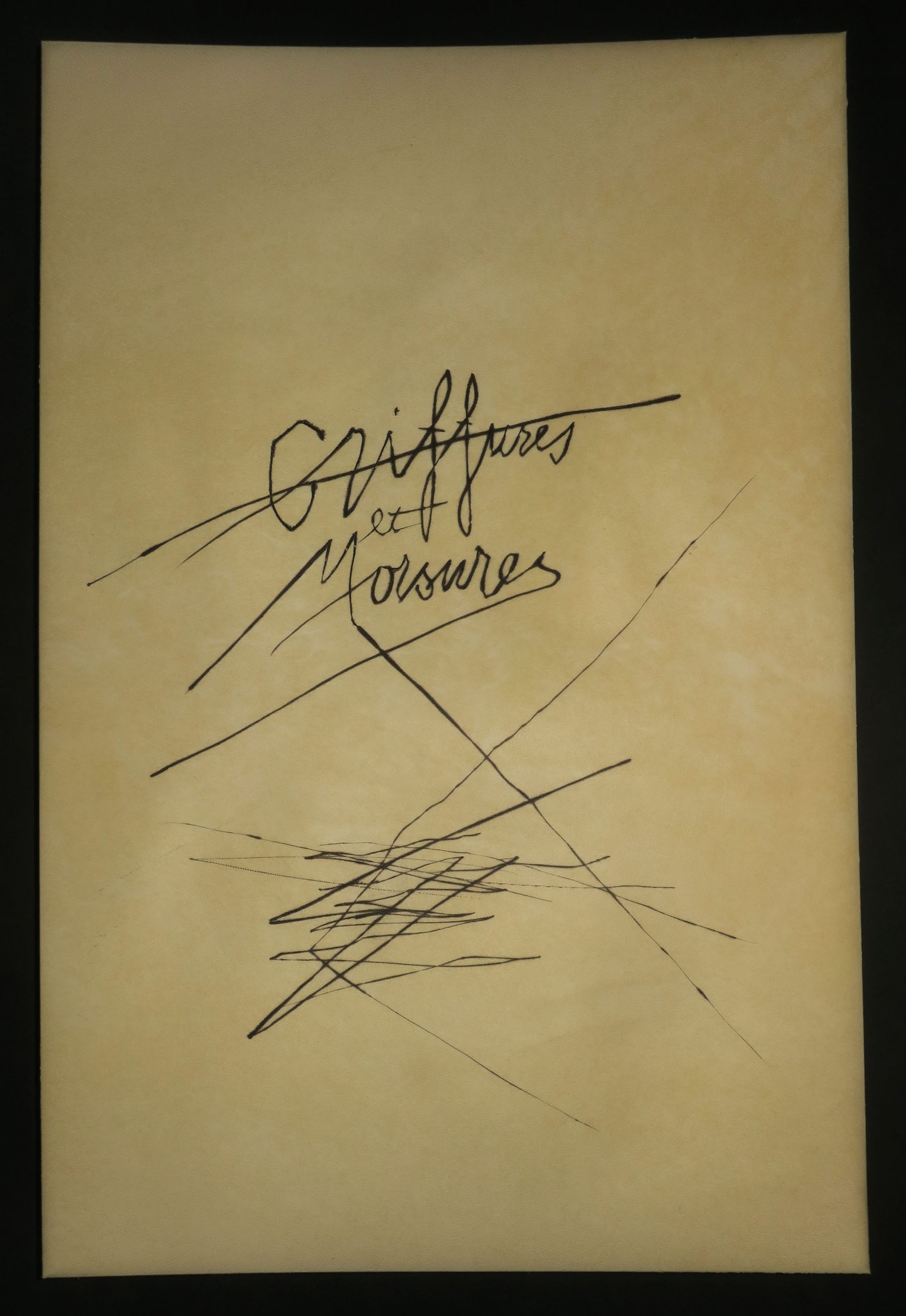 Griffures et morsures.
