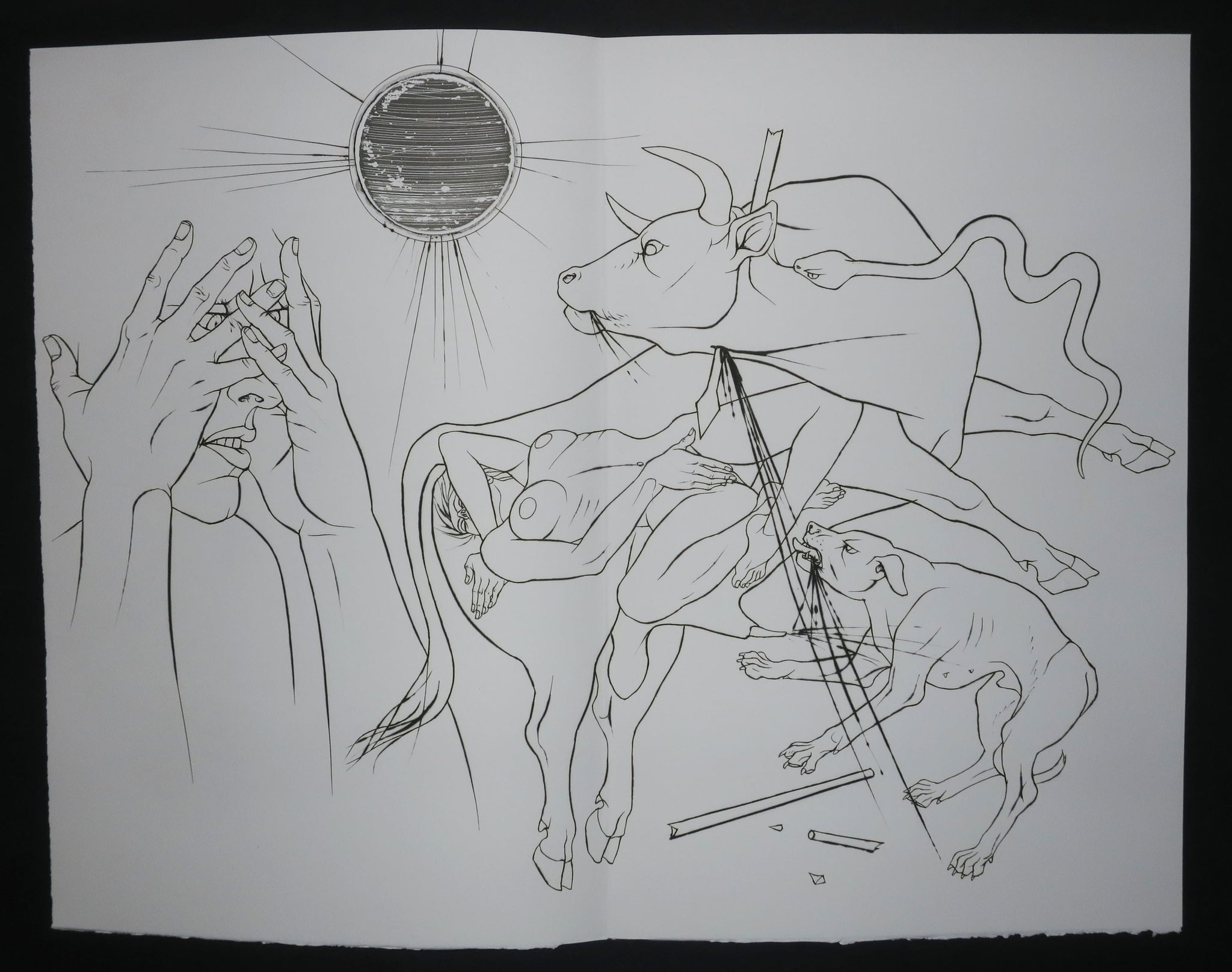 Griffures et morsures.