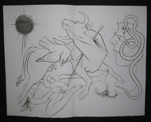 Charger l'image dans la galerie, Griffures et morsures.