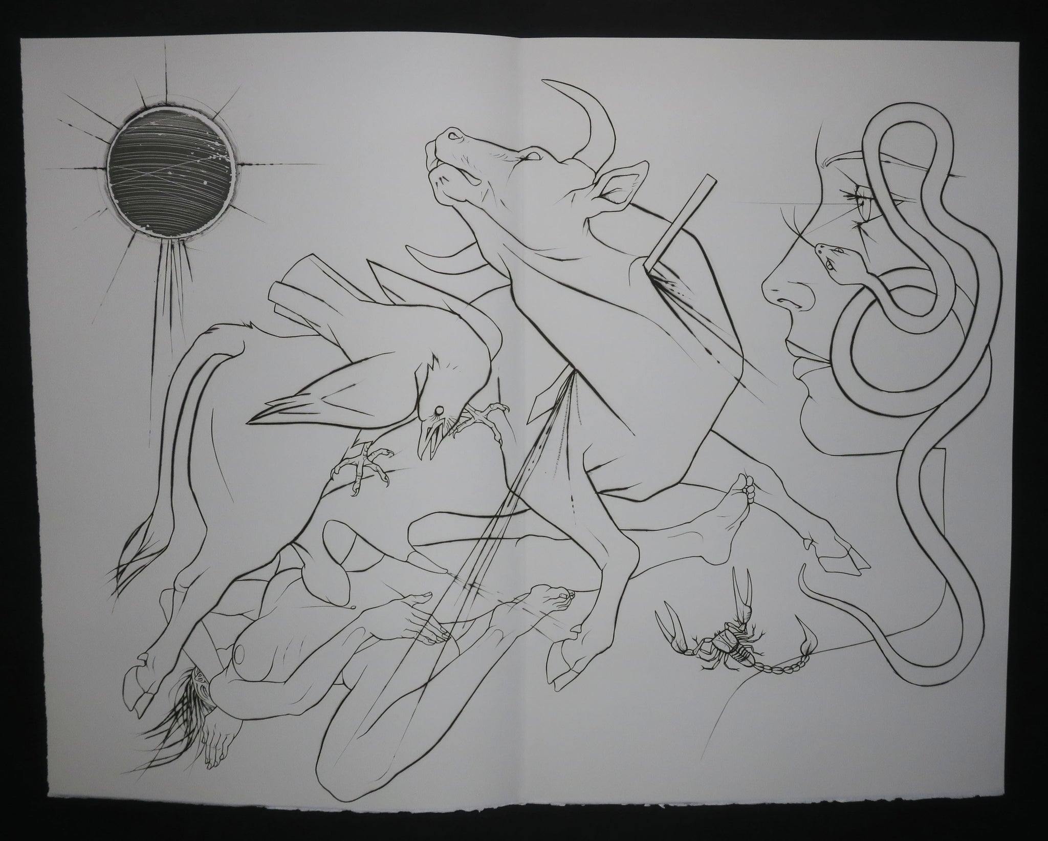 Griffures et morsures.