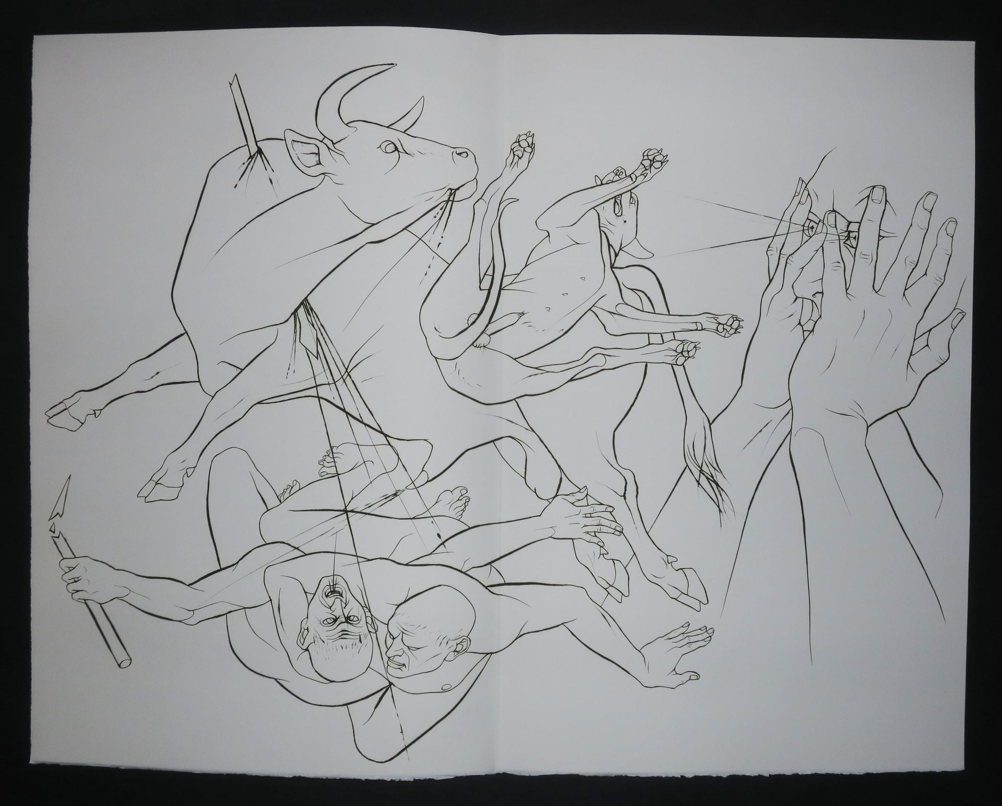 Griffures et morsures.