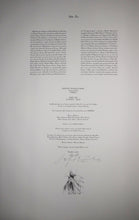 Charger l'image dans la galerie, Il Ponte Most, 2003-2004.