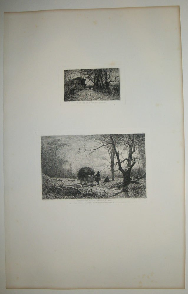 A Gorge de Loup (Environs de Lyon) & Chemin des roches (Environs de Creys).