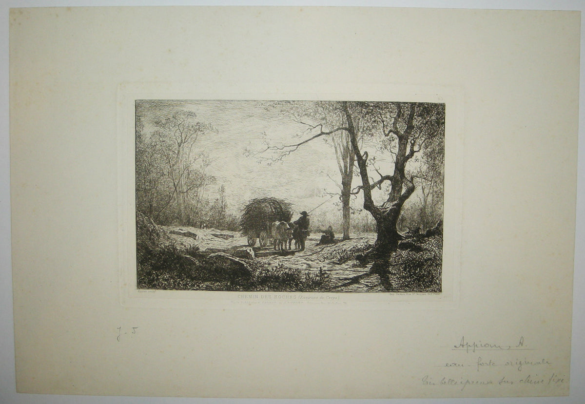 Chemin des roches (Environs de Creys).