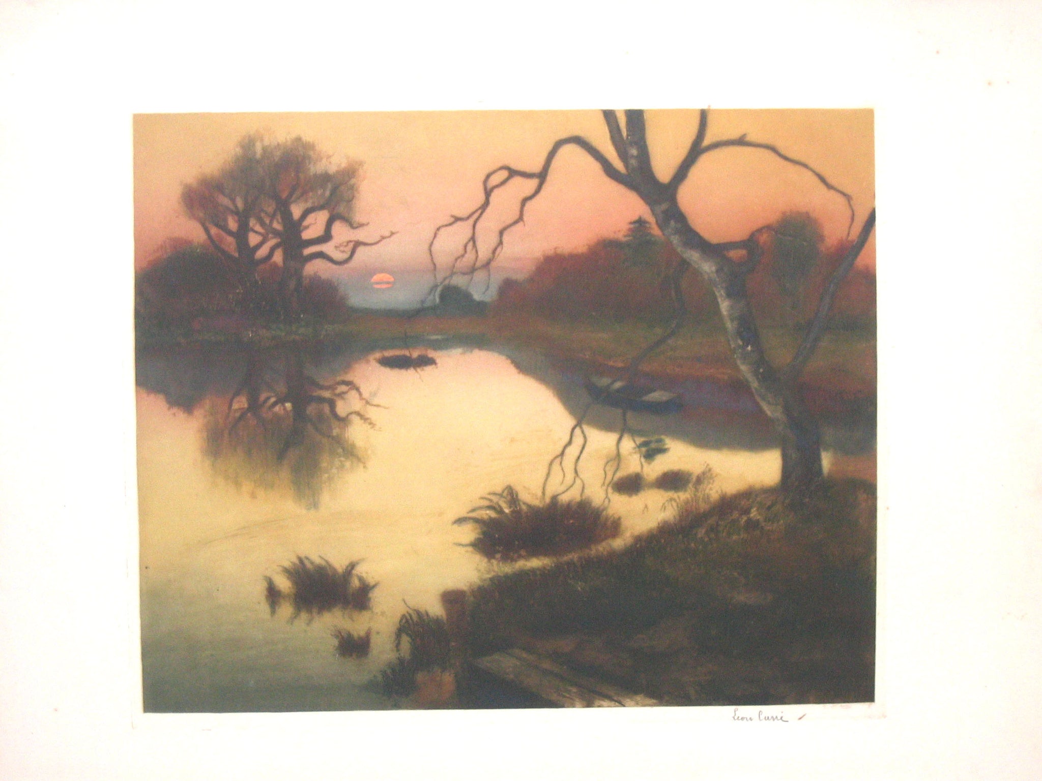 Coucher de soleil près de l'étang.