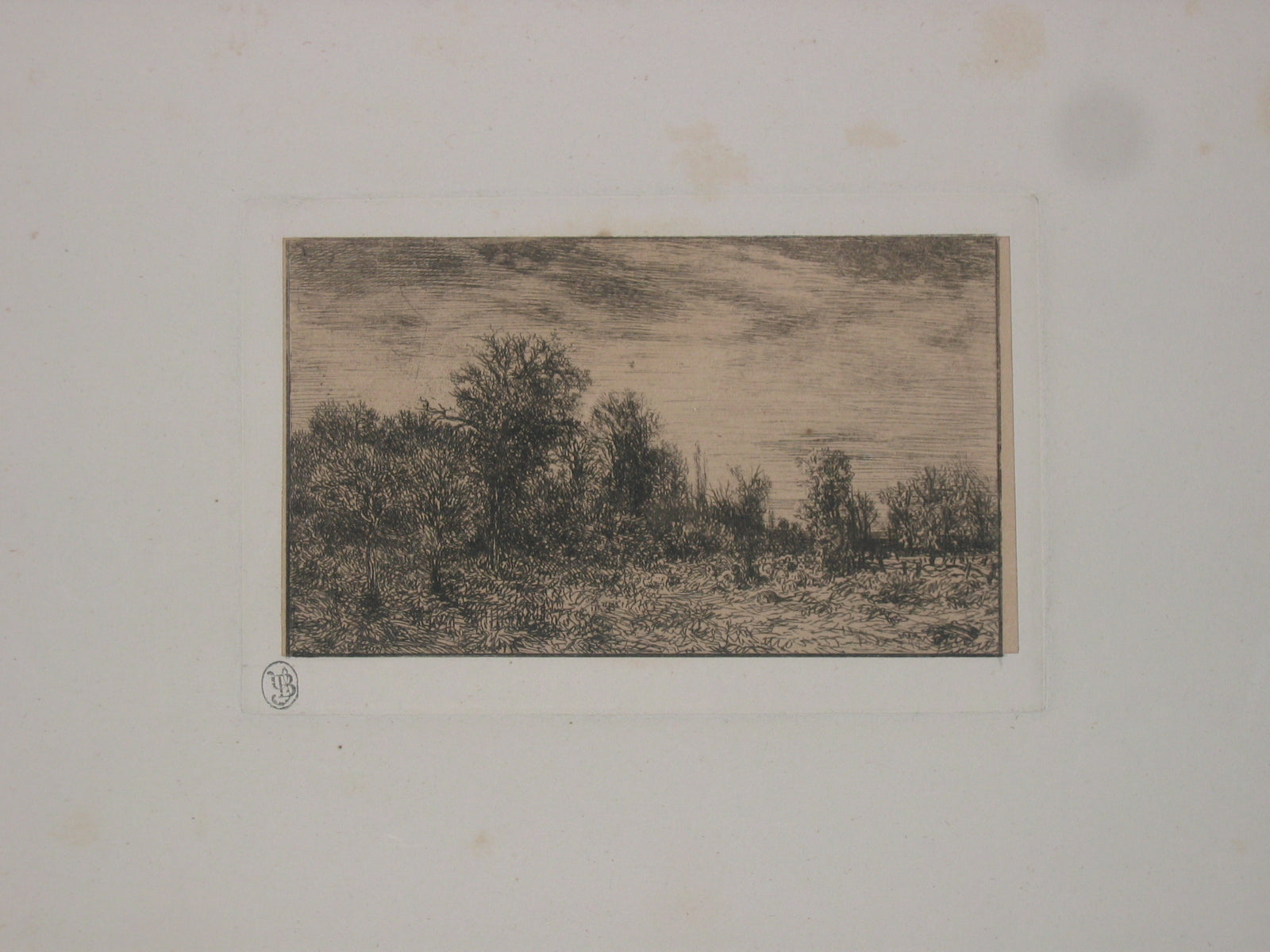 Lisière de bois.