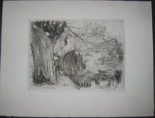 Charger l'image dans la galerie, Saules et Roseaux.