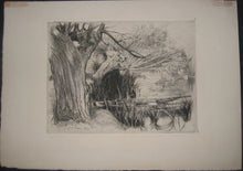 Charger l'image dans la galerie, Saules et Roseaux.