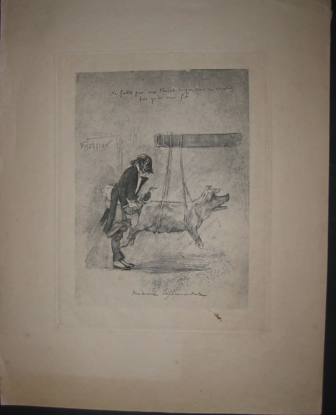 Médecine expérimentale.