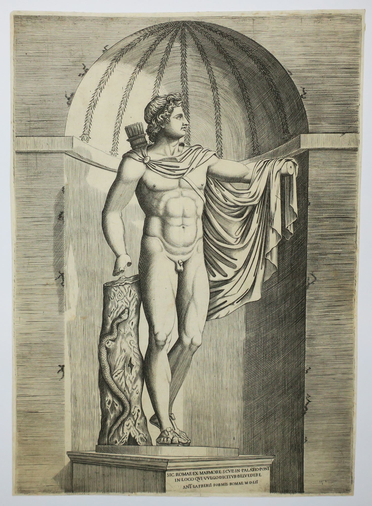Apollon Belvédère.