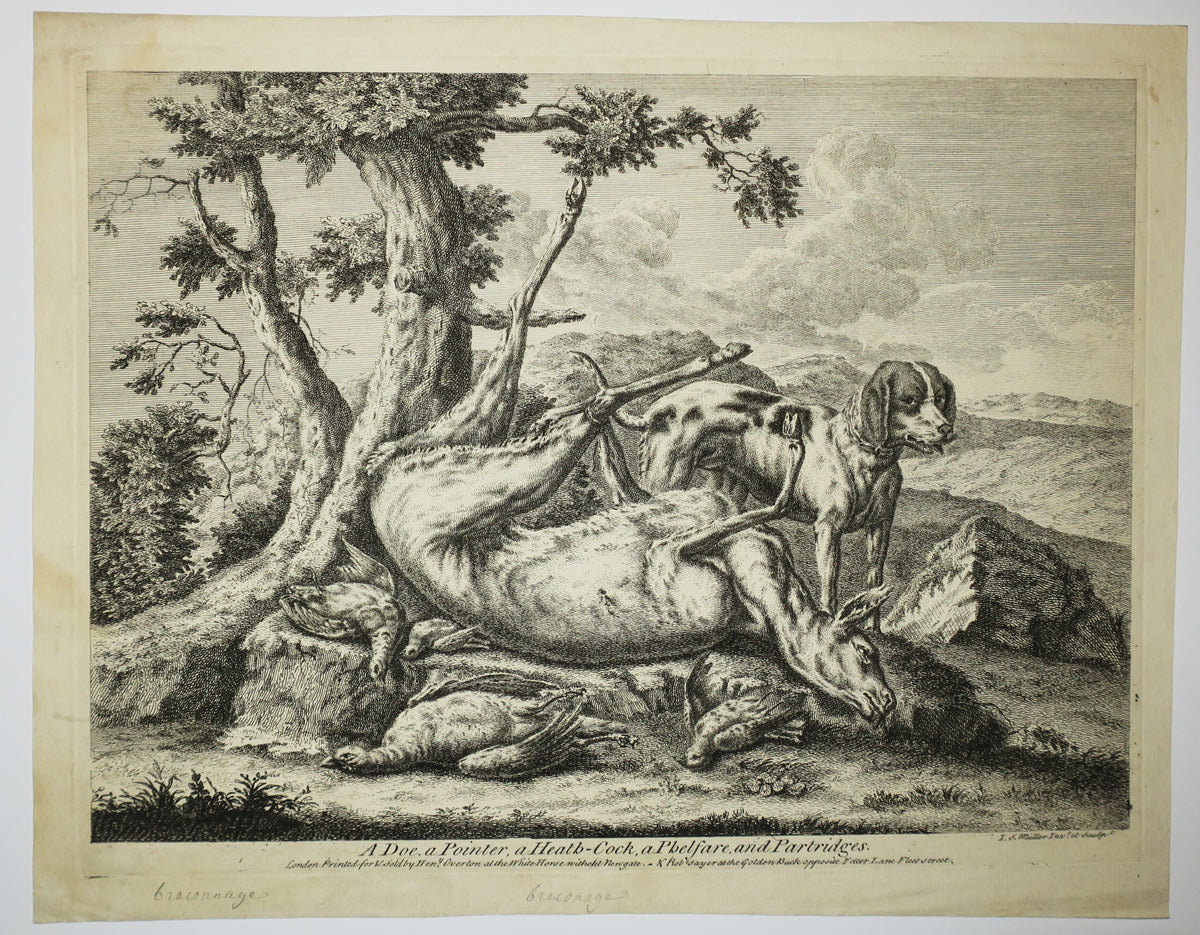 A Doe, a pointer, a Heath-Cock, a Phelfare and Partridges (Chien gardant les produits de la chasse).