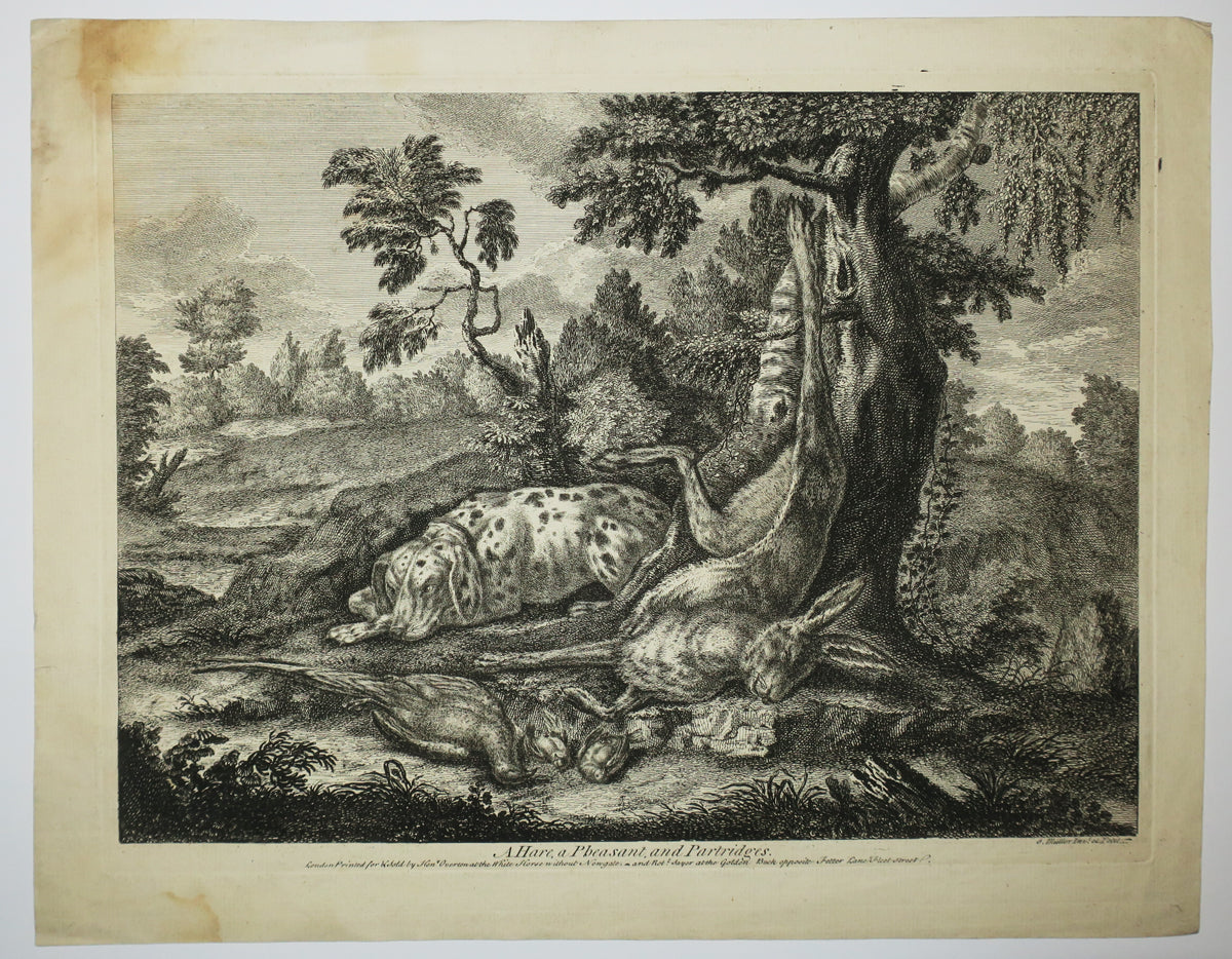 A Hare, a Pheasant and Partridges (Chien gardant les produits de la chasse).