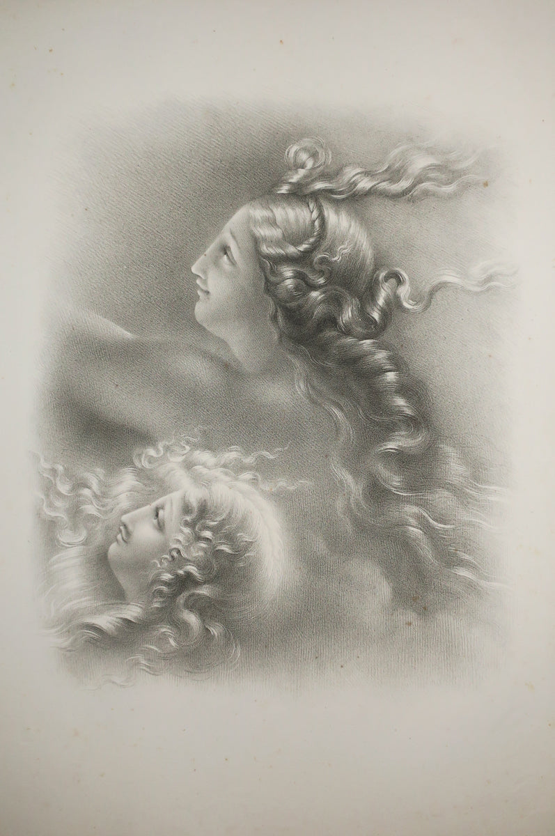 Lorma et Bosmima.