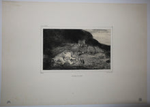 Charger l'image dans la galerie, Une lionne & ses petits.