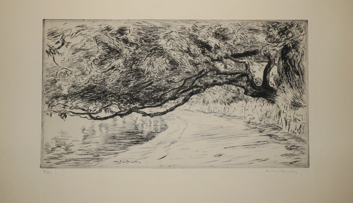 Branches sur la grève.