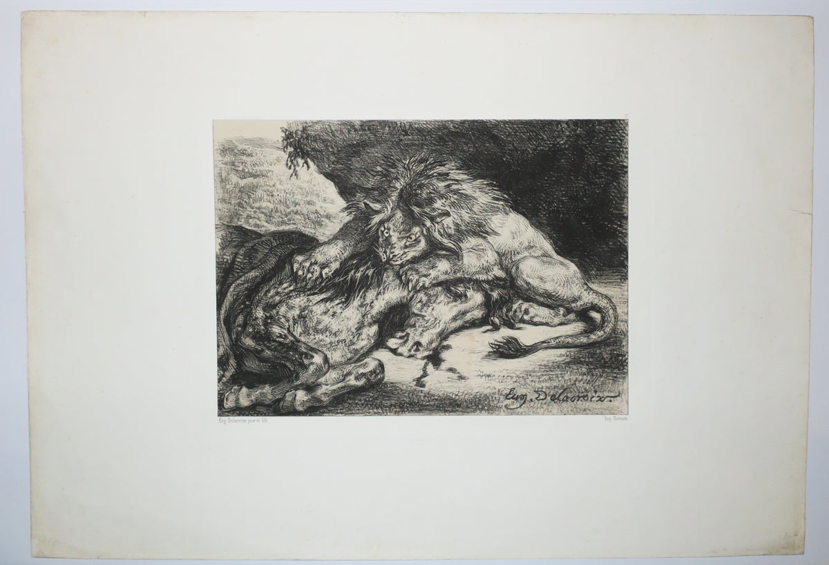 Lion dévorant un cheval.