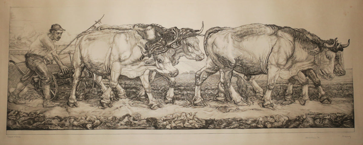 Ploegende ossen. (Charrue de bœufs).