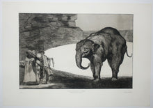 Charger l'image dans la galerie, Lluvia de Toros (Pluie de taureaux). Una Reina del circo (Une Reine du cirque). Qué Guerrero (Quel guerrier). Otras leyes por el pueblo (Autres lois pour le peuple)