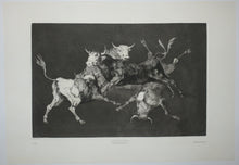 Charger l'image dans la galerie, Lluvia de Toros (Pluie de taureaux). Una Reina del circo (Une Reine du cirque). Qué Guerrero (Quel guerrier). Otras leyes por el pueblo (Autres lois pour le peuple)