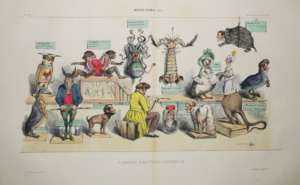 Cabinet d'Histoire Naturelle.