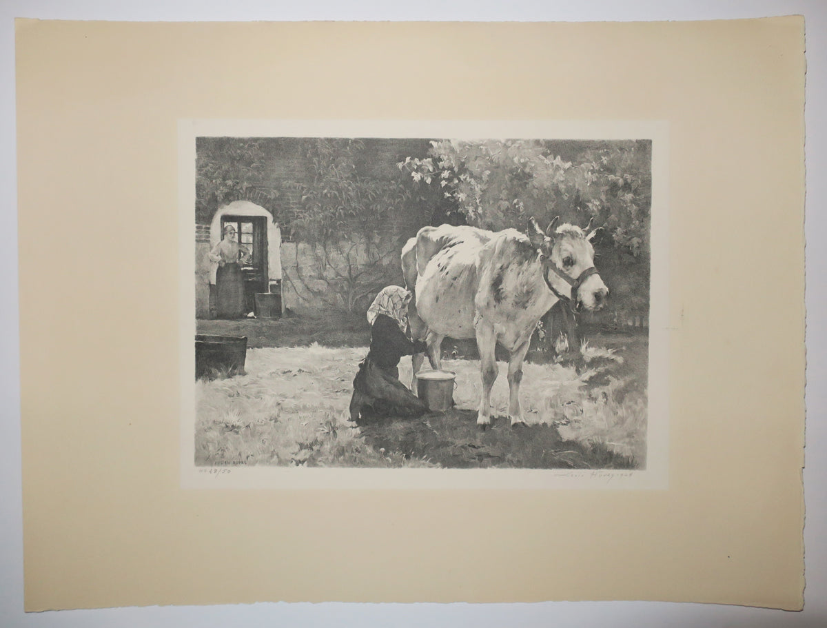 La vache blanche.