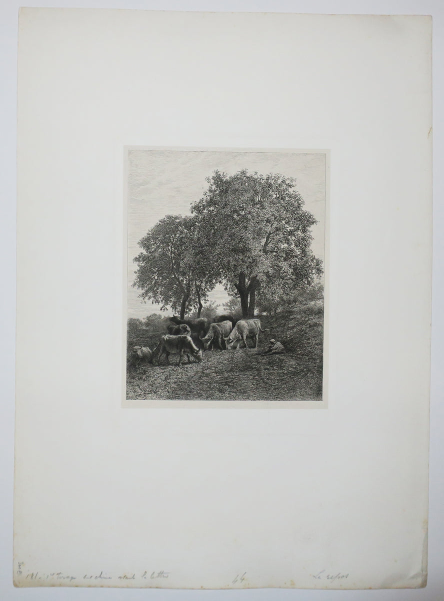 Le repos (Sept vaches et berger).