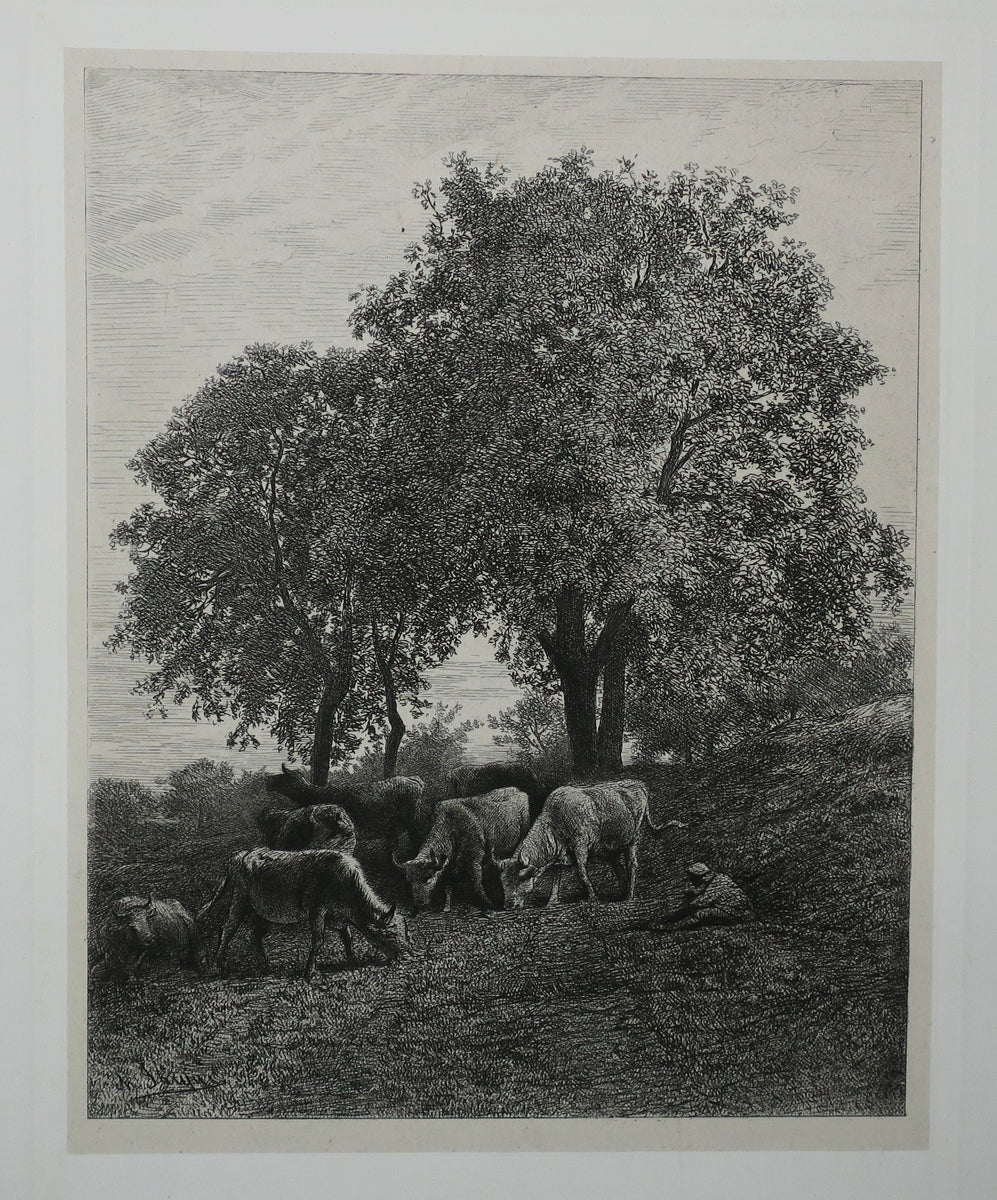 Le repos (Sept vaches et berger).