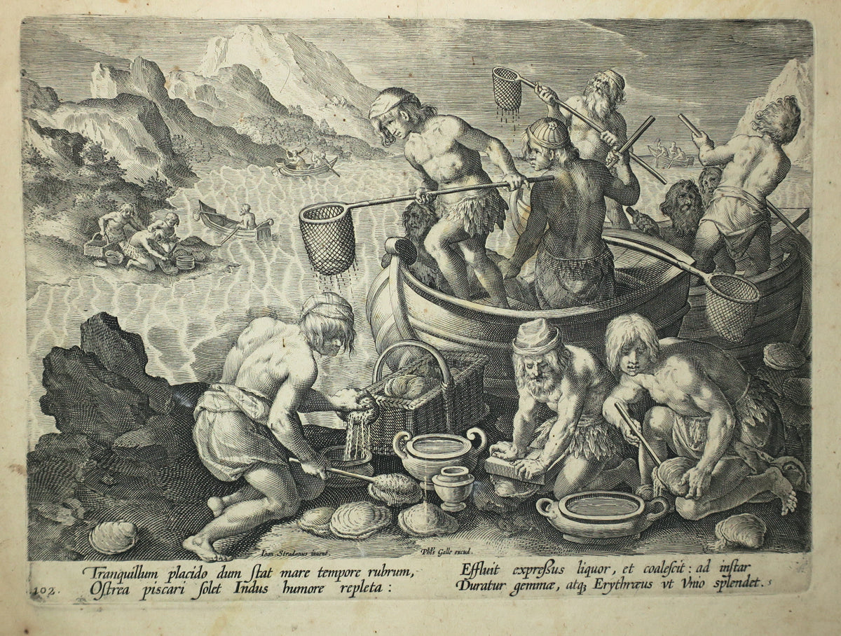 La pêche aux Huîtres géantes.