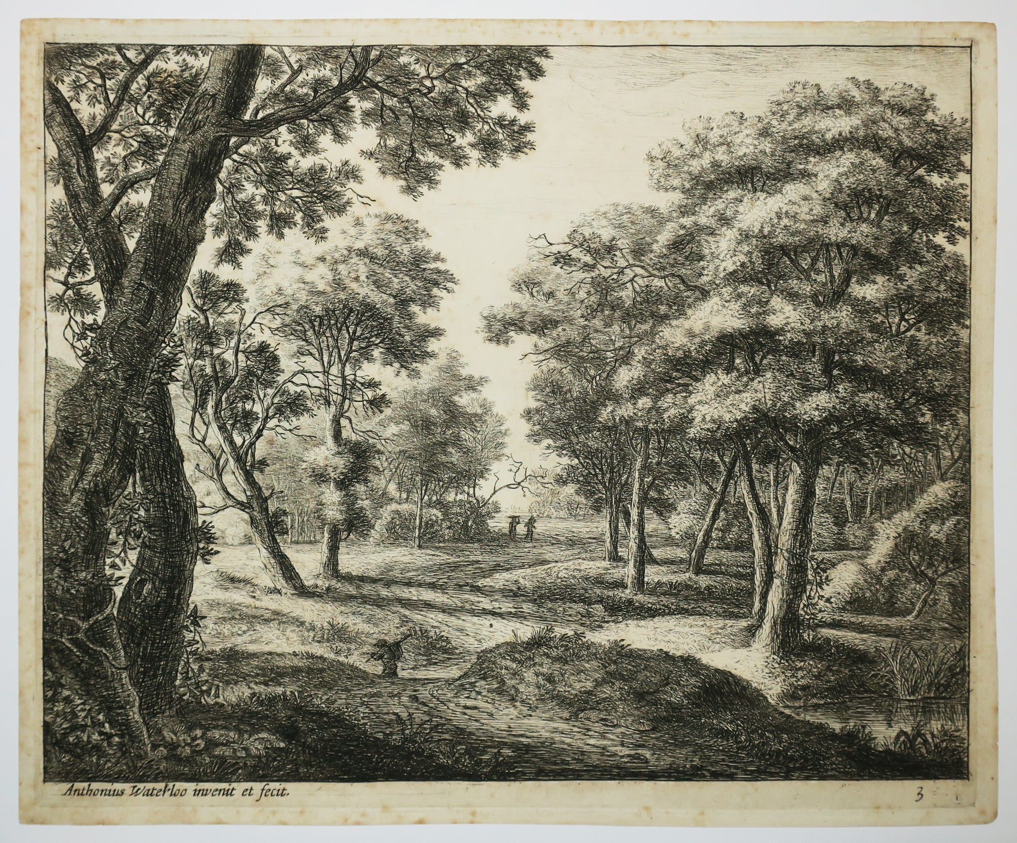 Un chemin à travers bois.