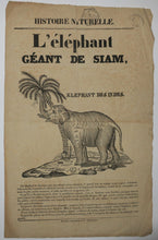 Charger l'image dans la galerie, L'Eléphant Géant de Siam, Eléphant des Indes. c.