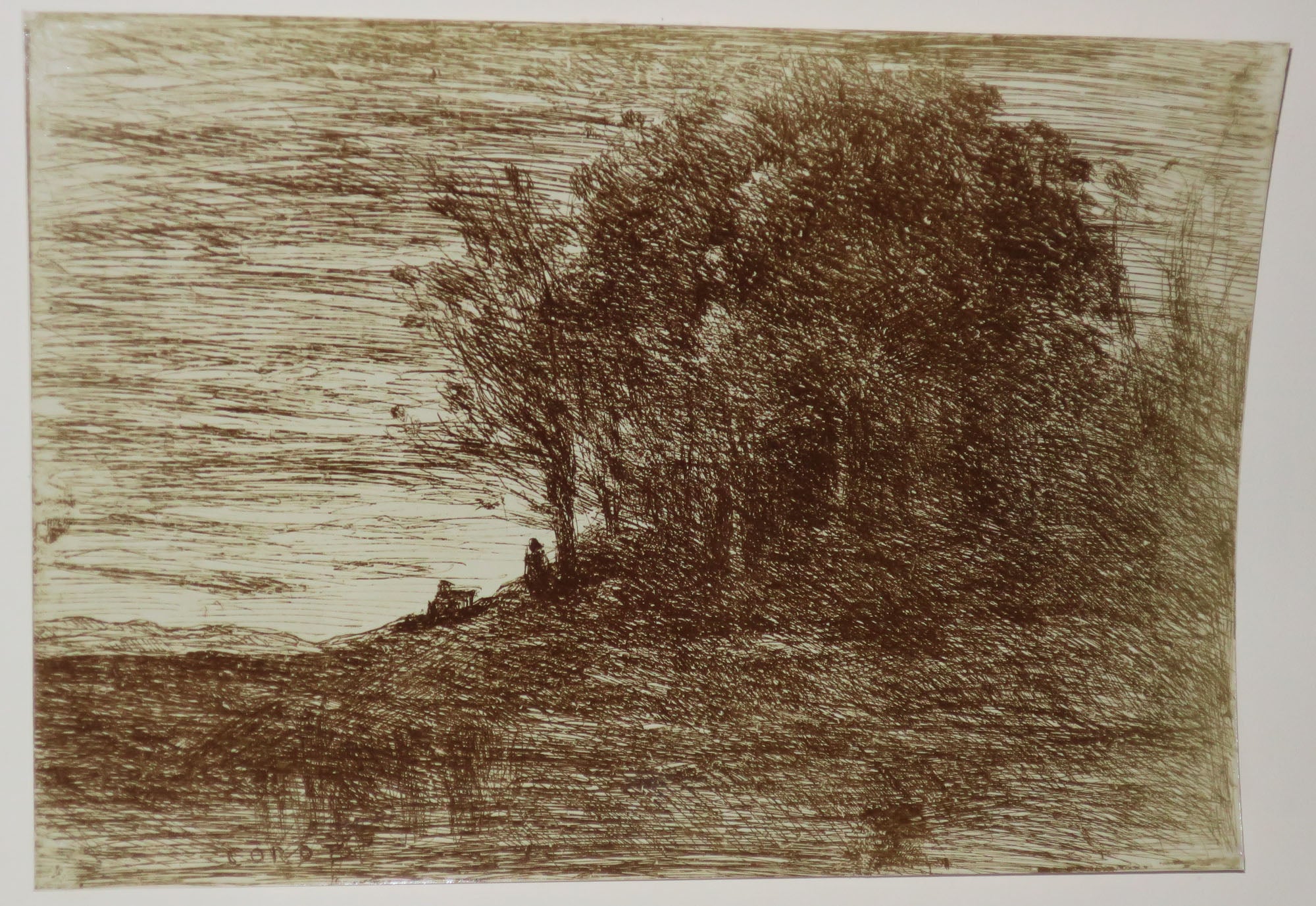 Le bois de l'Ermite.