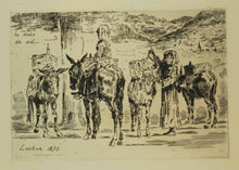 Charger l'image dans la galerie, Feuilles d'Ânes du Midi.