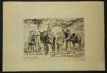 Charger l'image dans la galerie, Feuilles d'Ânes du Midi.