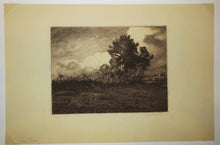 Charger l'image dans la galerie, Les Pins.