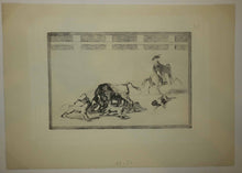 Charger l'image dans la galerie, Echan perros al toro.