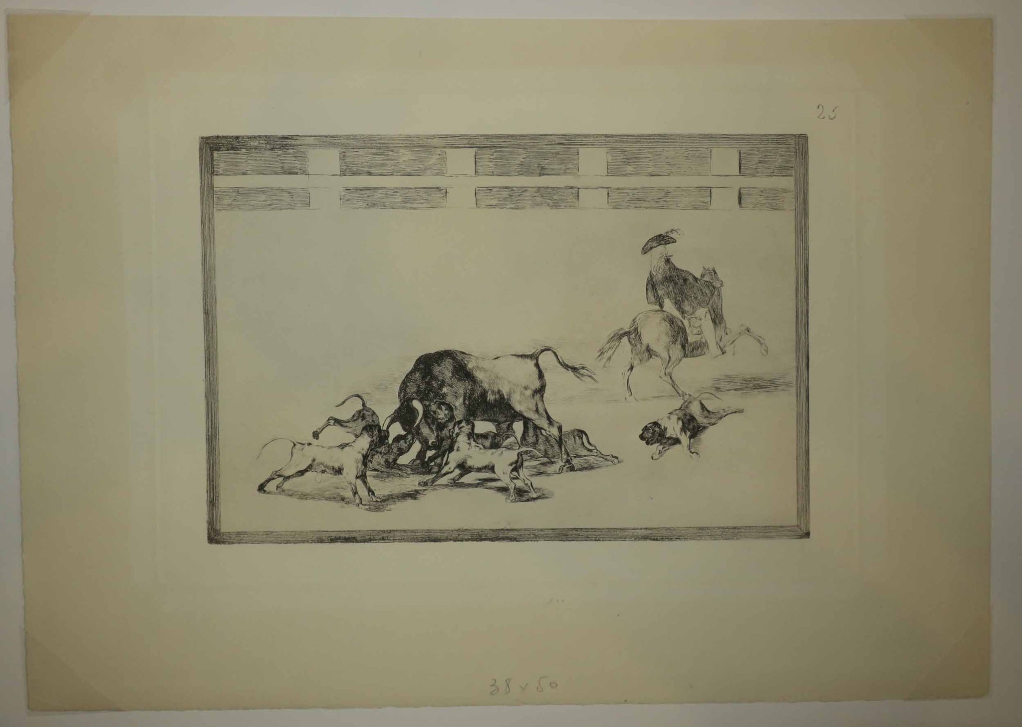 Echan perros al toro.