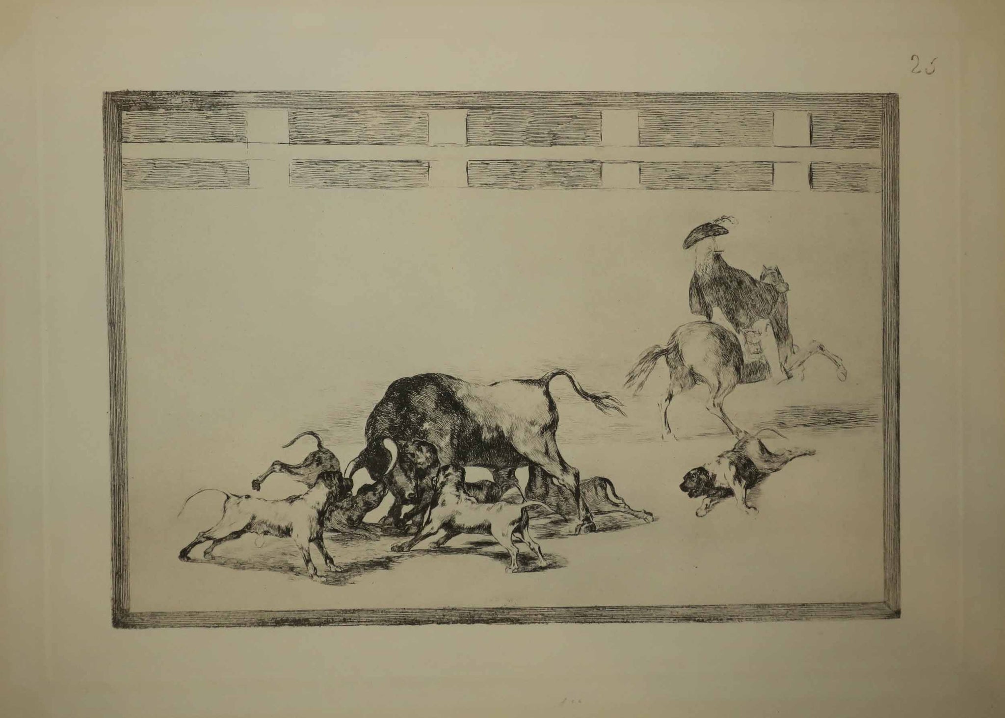 Echan perros al toro.