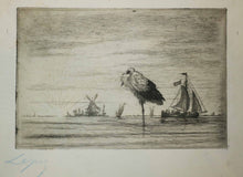 Charger l'image dans la galerie, Cigogne au coucher du soleil, en Hollande.