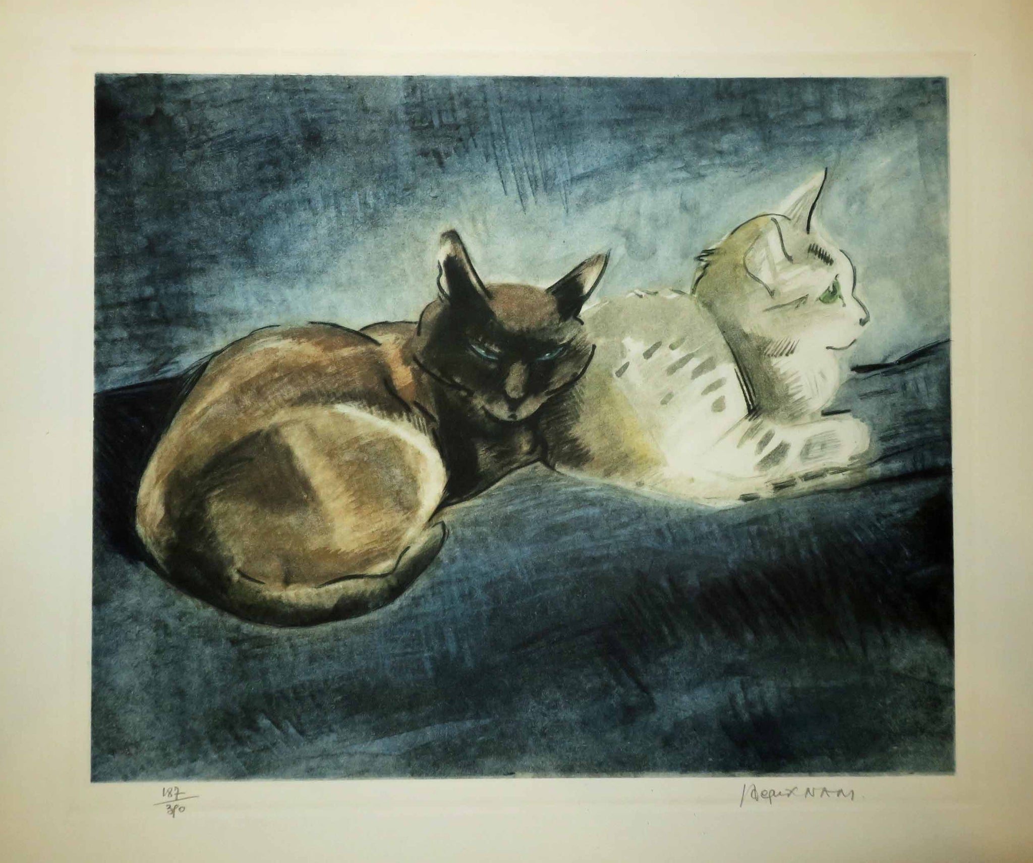 Capucin et Adimah. (Chats).
