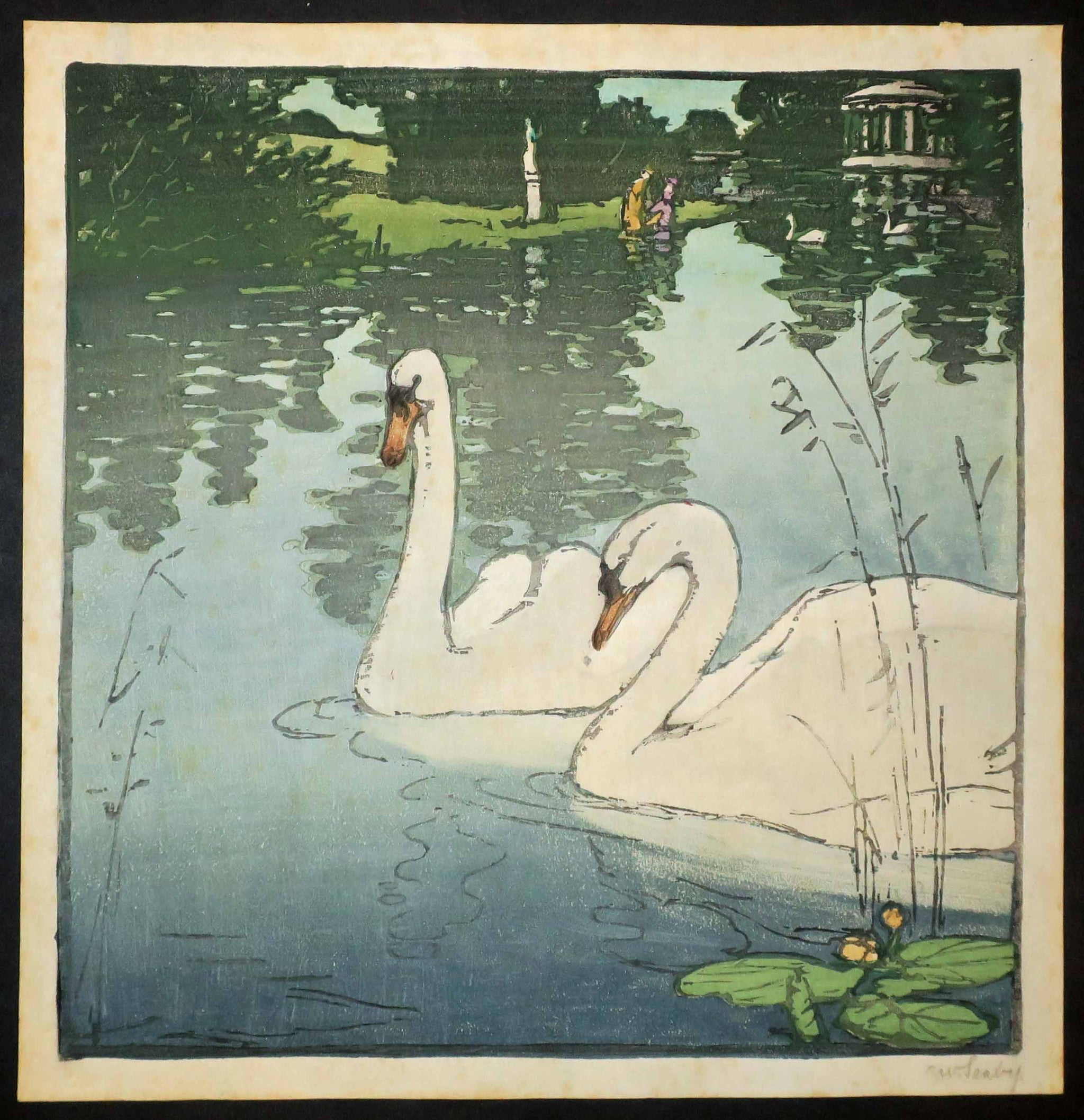 Deux cygnes. (Two swans).
