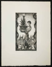 Charger l'image dans la galerie, Le petit Jardinier.