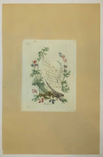 Charger l'image dans la galerie, Titre pour « Nouvelle Suite de Cahiers Chinois à l’usage des dessinateurs et des Peintres, Inventés et dessinés par Jean Pillement, gravés par Anne Allen. N°3.