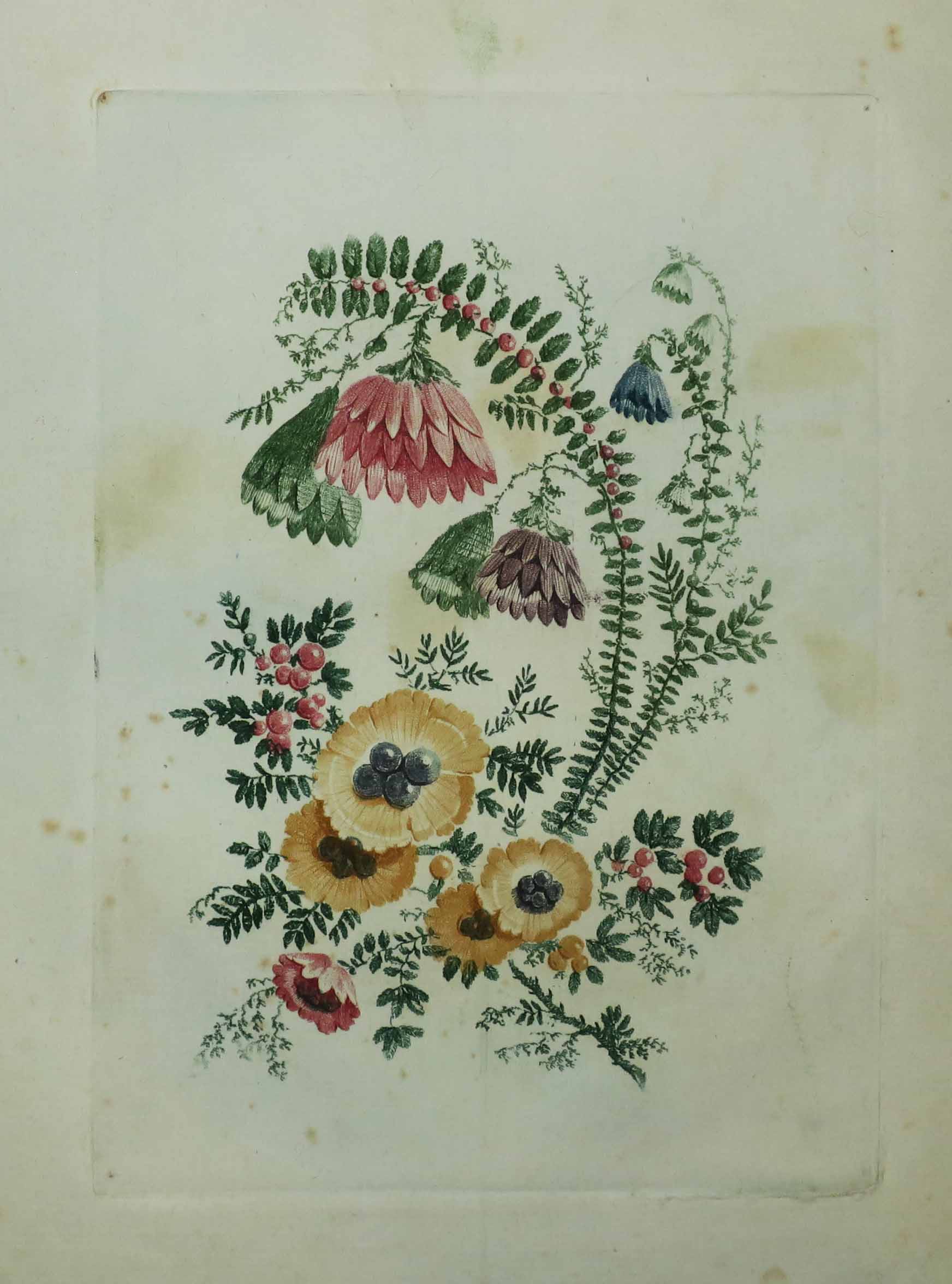 Fleurs idéales.