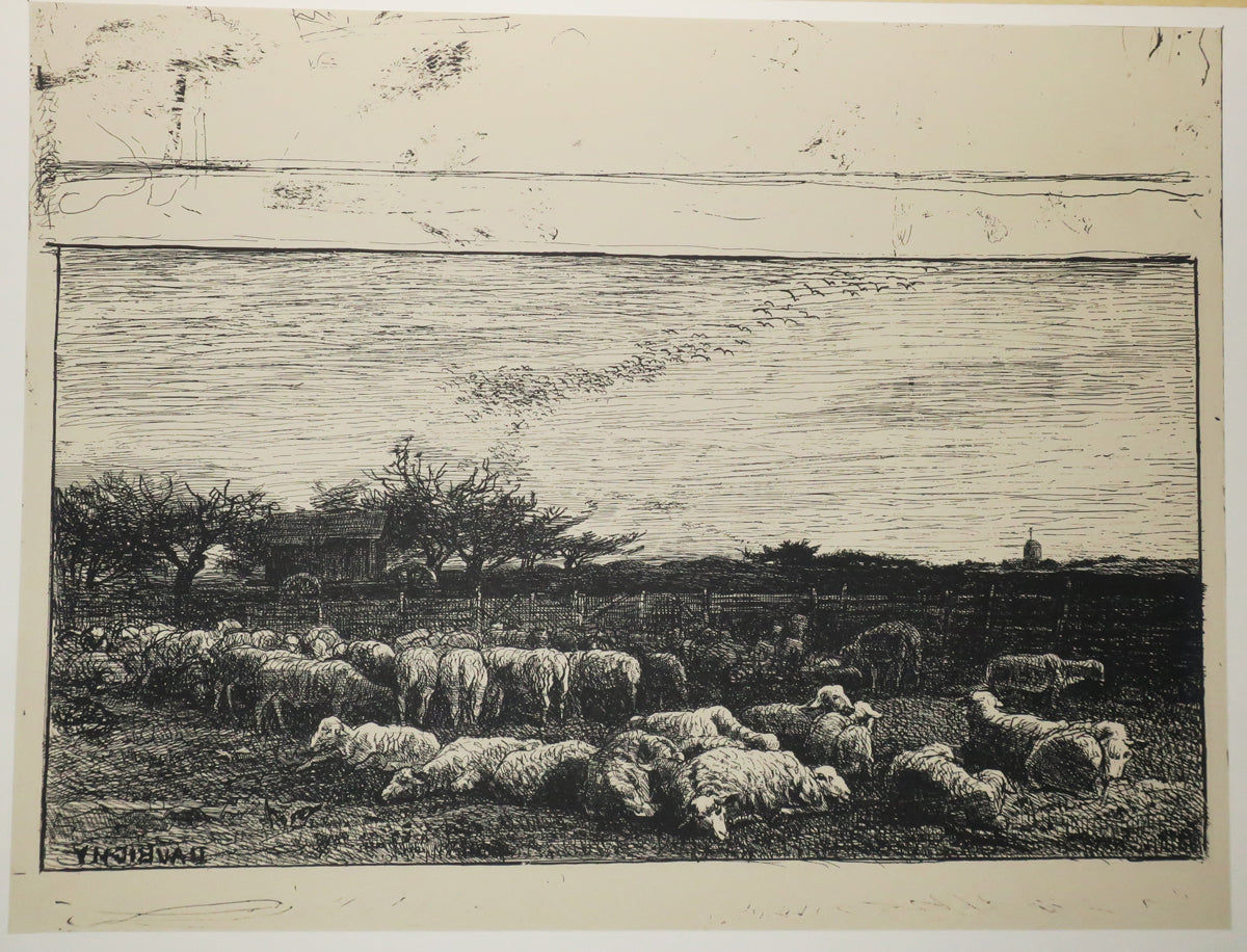Quarante Clichés-Glace, tirés sur les plaques provenant de la Collection de M. Cuvelier.
