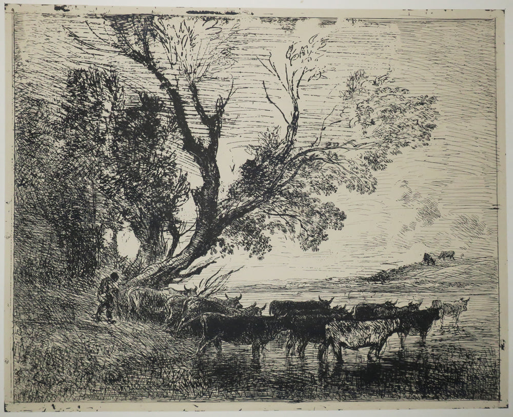 Quarante Clichés-Glace, tirés sur les plaques provenant de la Collection de M. Cuvelier.