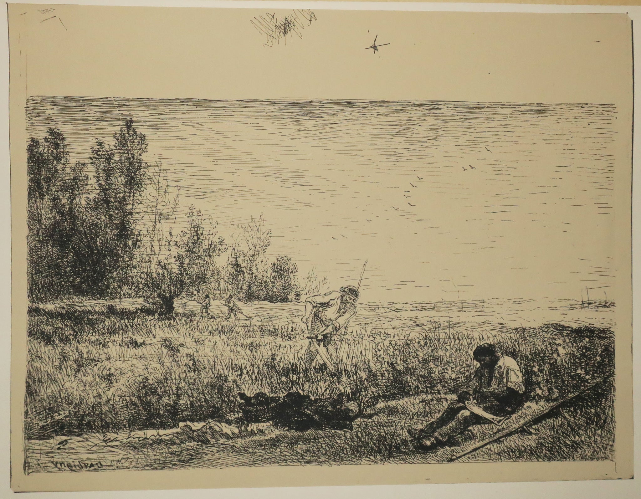 Quarante Clichés-Glace, tirés sur les plaques provenant de la Collection de M. Cuvelier.